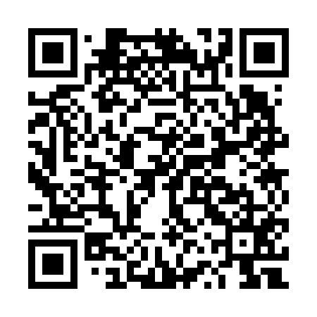 QR code for DVS655