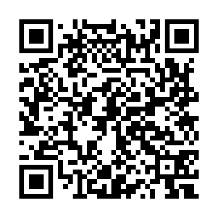 QR code for DVS970