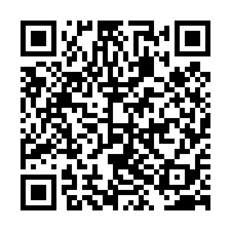 QR code for DXG419