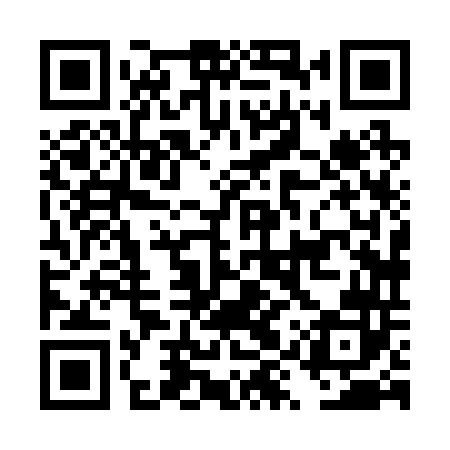 QR code for DYX242