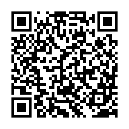 QR code for DYZ382