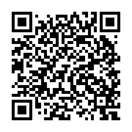 QR code for DZG287