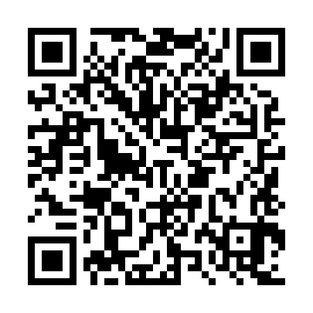 QR code for DZL883