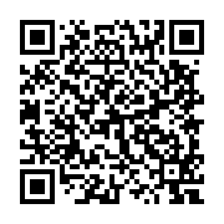 QR code for DZM595