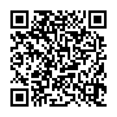 QR code for DZQ334