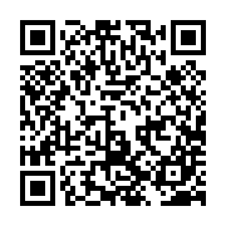 QR code for DZT087