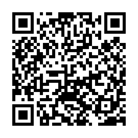 QR code for DZY491