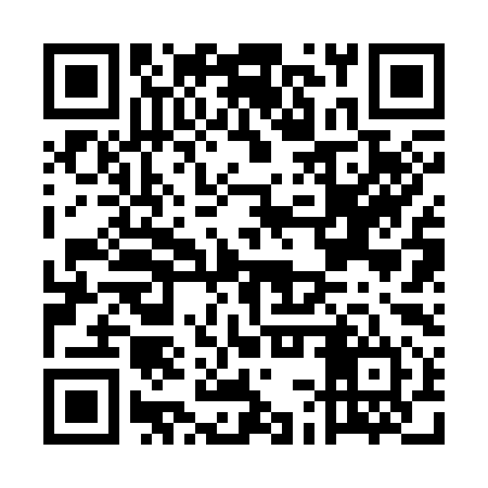QR code for ECR394
