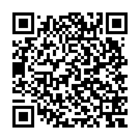 QR code for ELE668