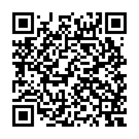 QR code for EPG382
