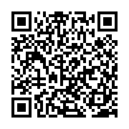 QR code for FEI023