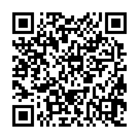 QR code for FFG386