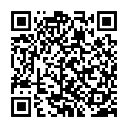 QR code for FFI368