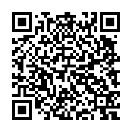 QR code for FFT433