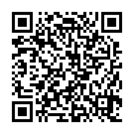 QR code for FIR234