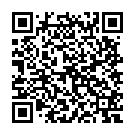 QR code for FIZ500