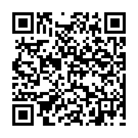 QR code for FJG386