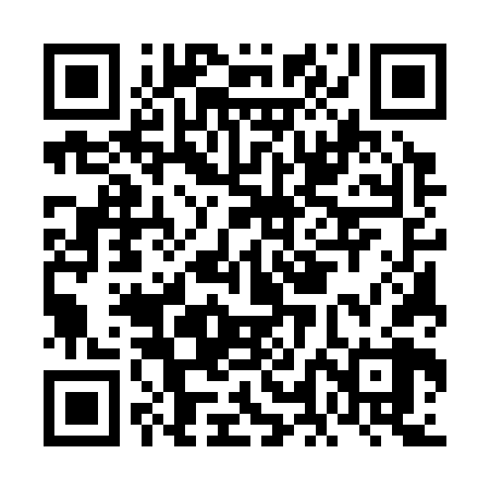 QR code for FLE368