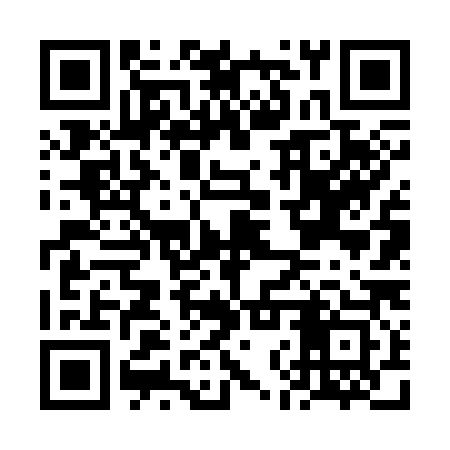 QR code for FNV383
