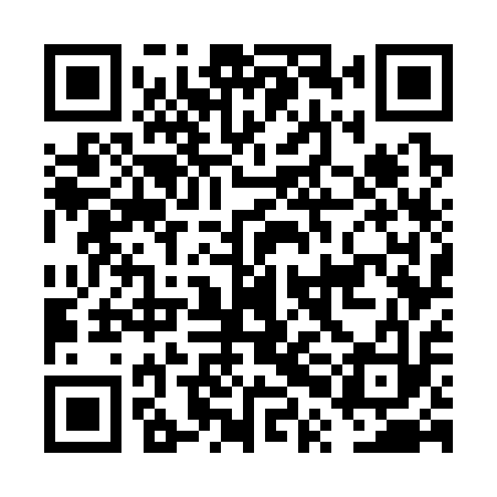 QR code for FPG313