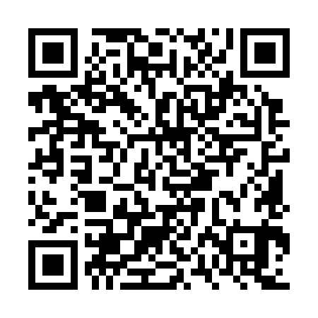 QR code for FPM381