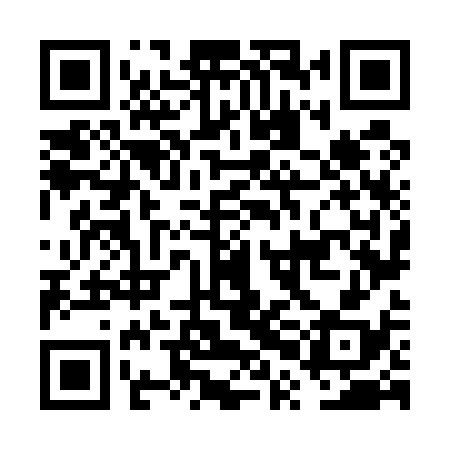 QR code for FPN538