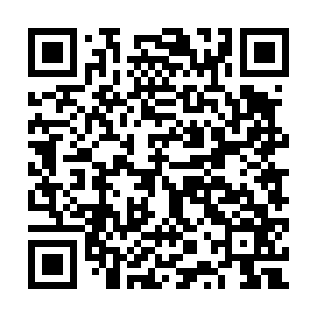 QR code for FPT466