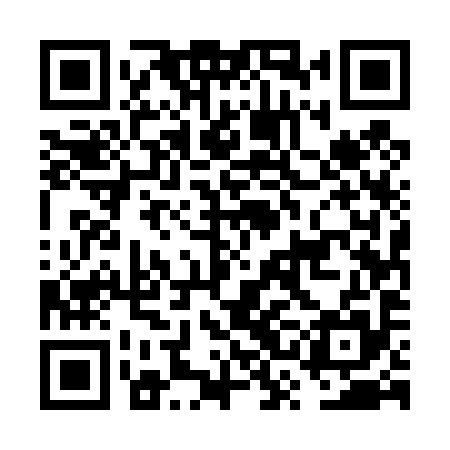 QR code for FSE495