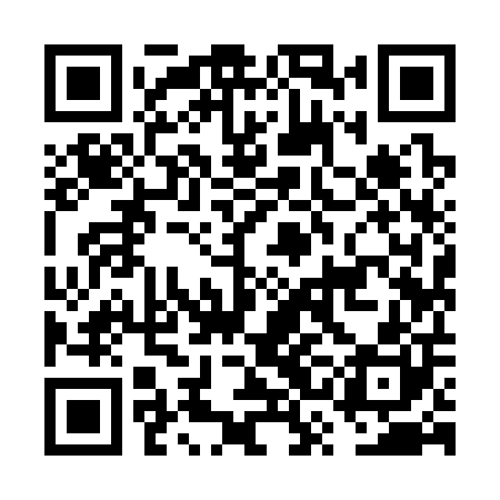QR code for FSI300