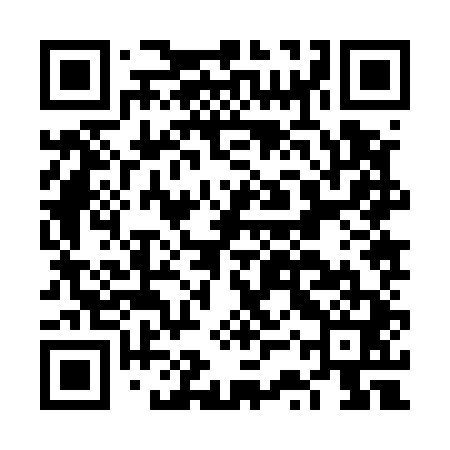 QR code for FSZ541