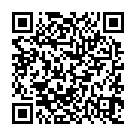 QR code for FTD381