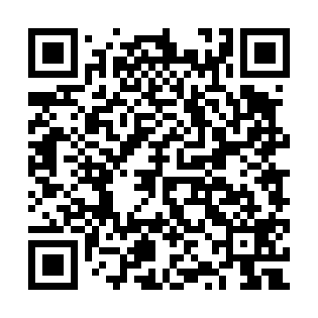 QR code for FZD419