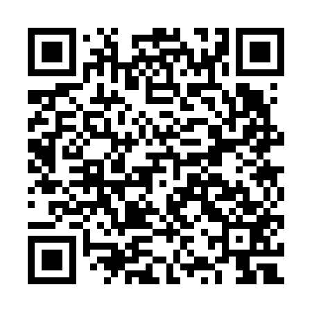 QR code for FZS653