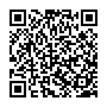 QR code for FZT101