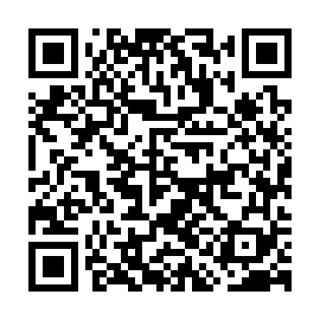 QR code for GAM369