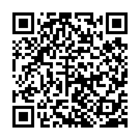 QR code for GIN619