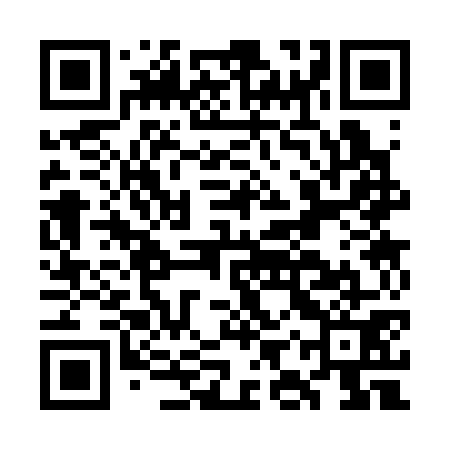 QR code for GIS371