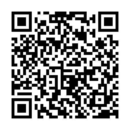 QR code for GOG333