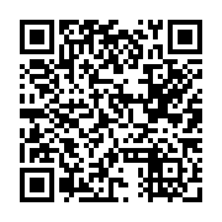 QR code for GPF381