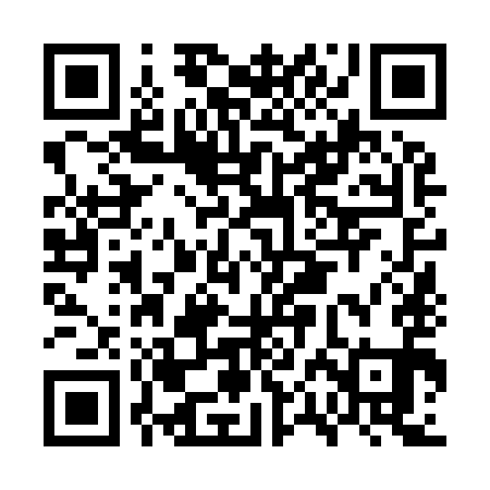 QR code for GPN991