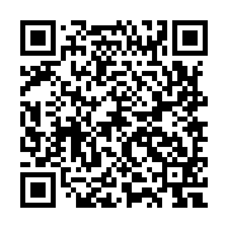 QR code for GTZ993