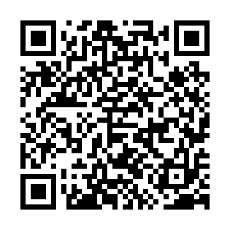QR code for GUN213
