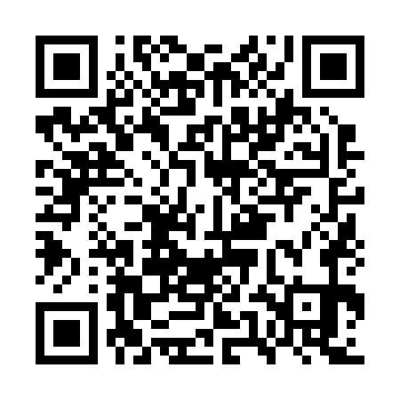 QR code for GUN271