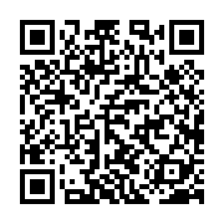 QR code for HEP029