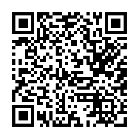 QR code for HFE313
