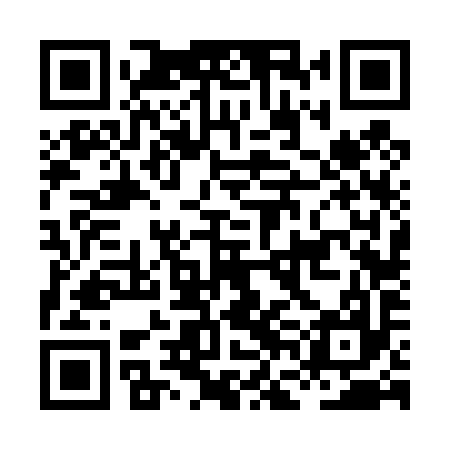 QR code for HFF497