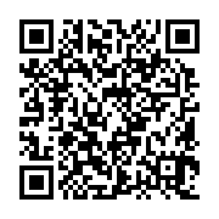 QR code for HGM385