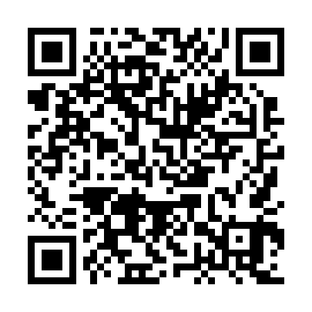 QR code for HGX241