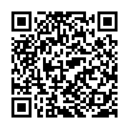 QR code for HID339