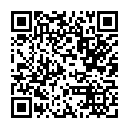 QR code for HIN969